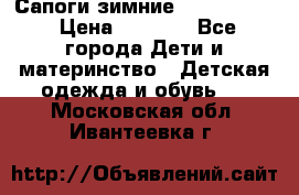 Сапоги зимние Skandia Tex › Цена ­ 1 200 - Все города Дети и материнство » Детская одежда и обувь   . Московская обл.,Ивантеевка г.